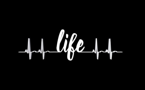 Life pic