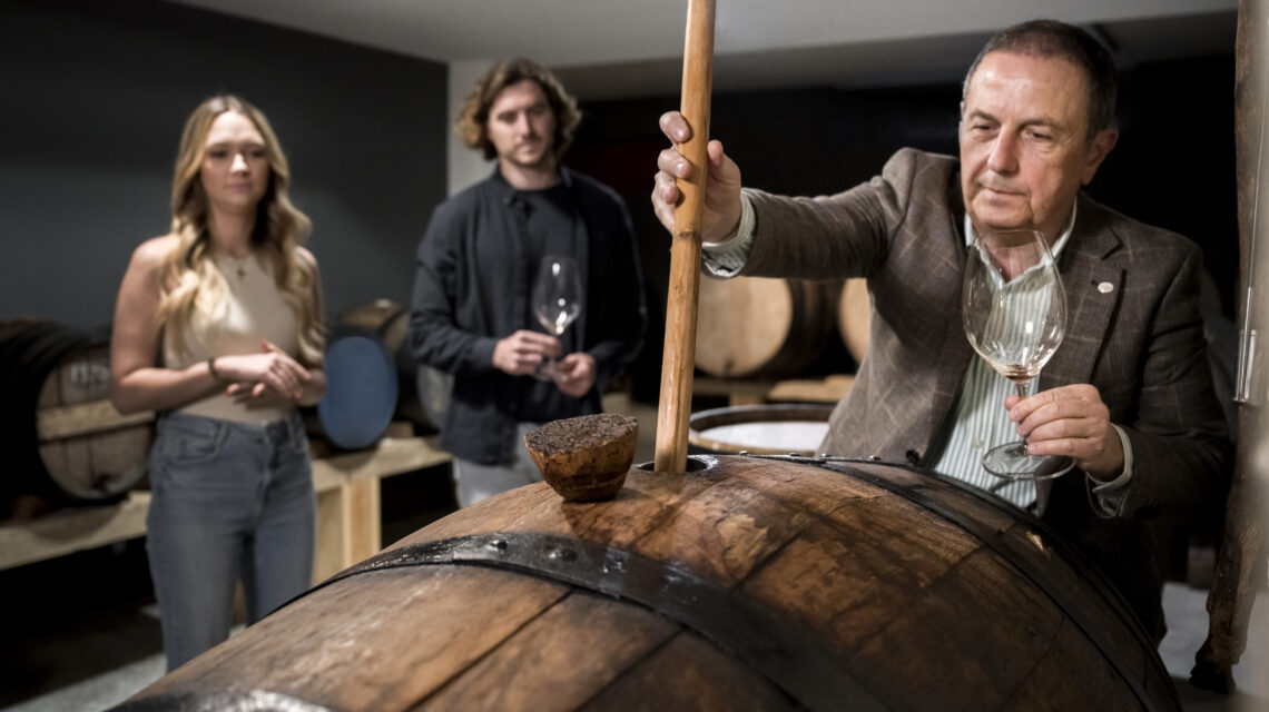 medium-shot-people-wine-cellar
