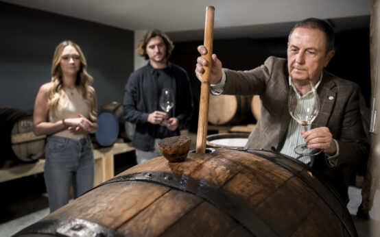 medium-shot-people-wine-cellar