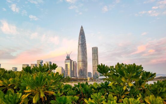 shenzhen this one